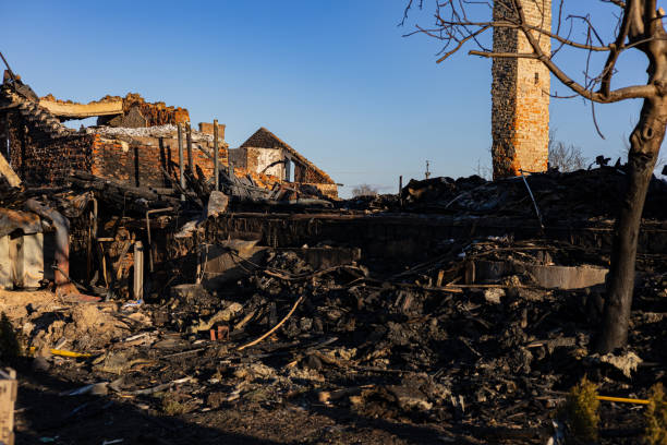 Reliable Emergency Fire Damage Restoration contractor in Shafer, MN by Fire Damage Flint